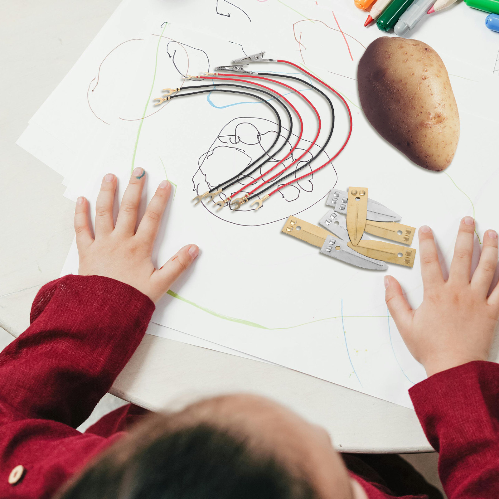 Kit Sains Baterai Air Asin, Al - Renewable Energy Kids ulasan dan harga